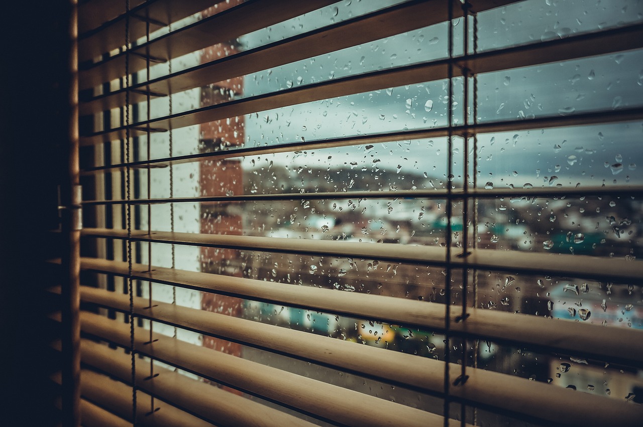 What Is A Jalousie Window? Advantages & Disadvantages