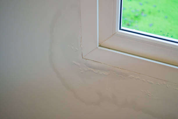 Leaking Window Frame Drywall Peeling